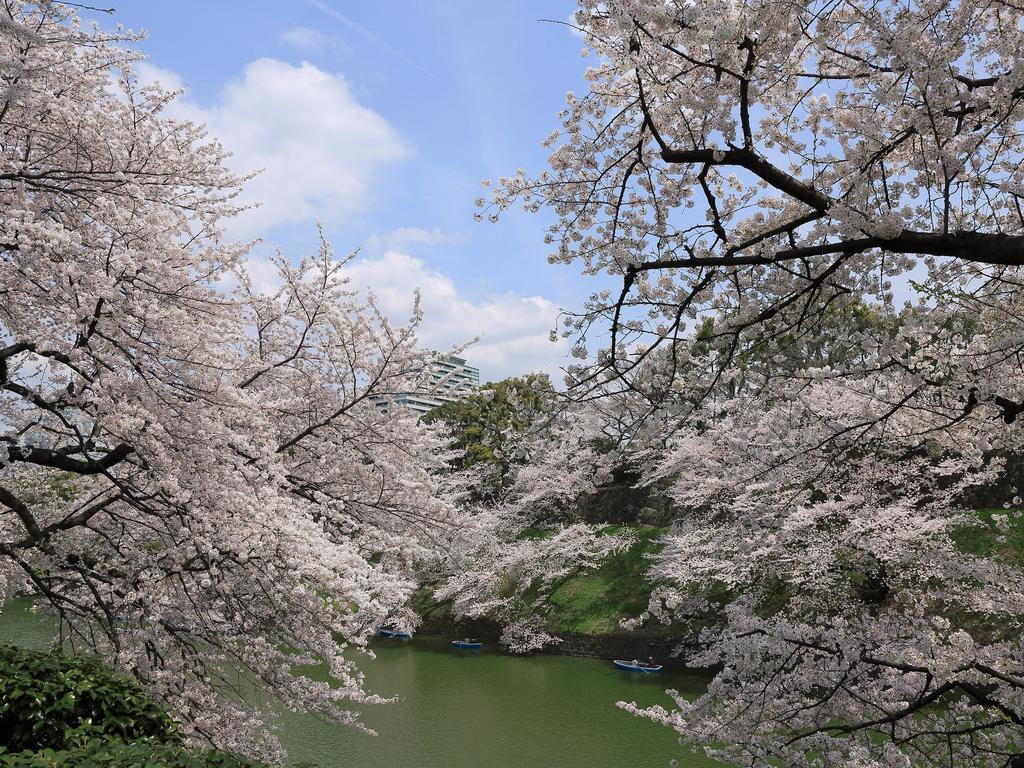Hotel Monterey Akasaka Tokyo Dış mekan fotoğraf